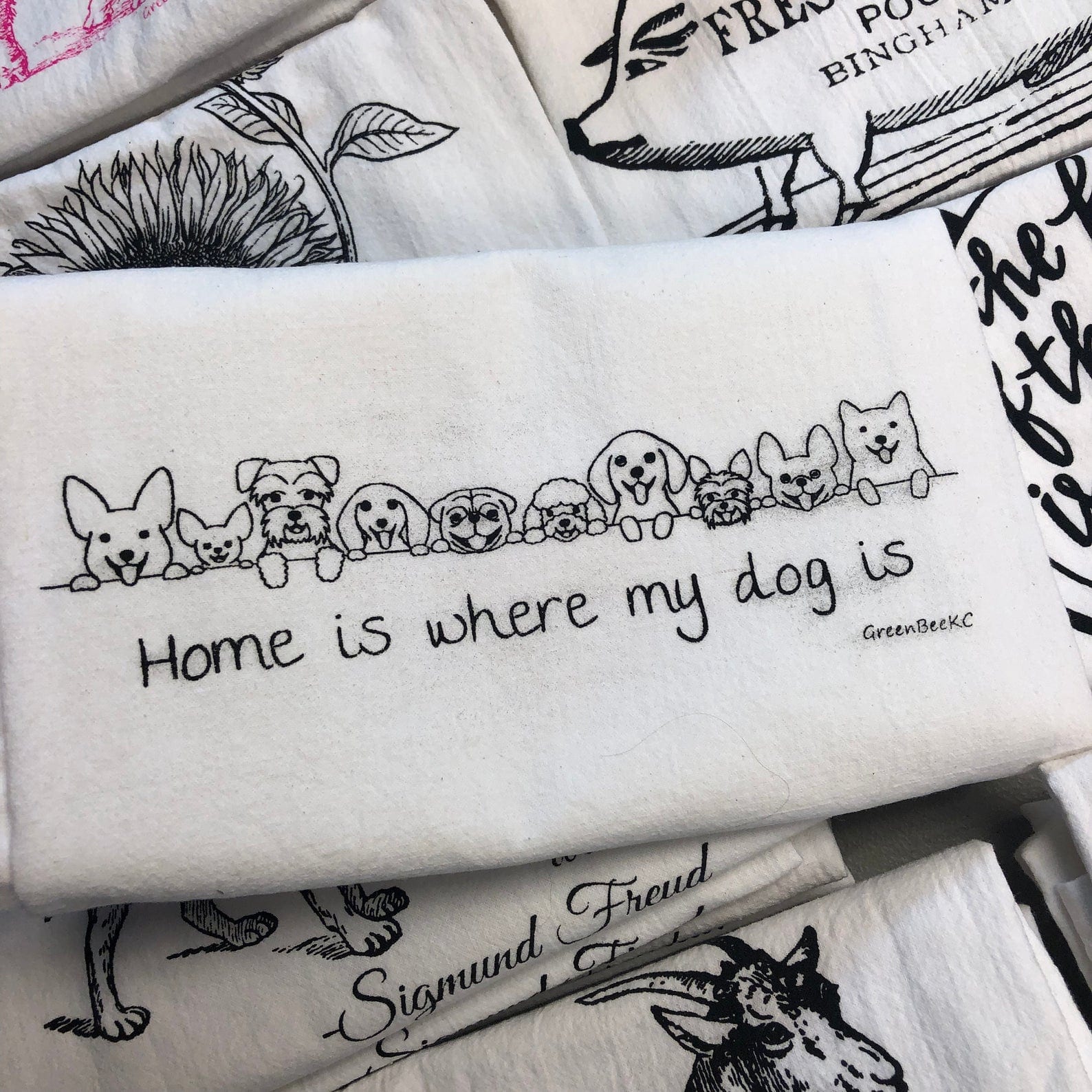 Dog home FLAWED